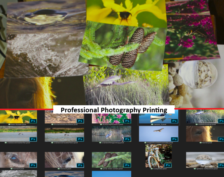 Photography and large-format prints